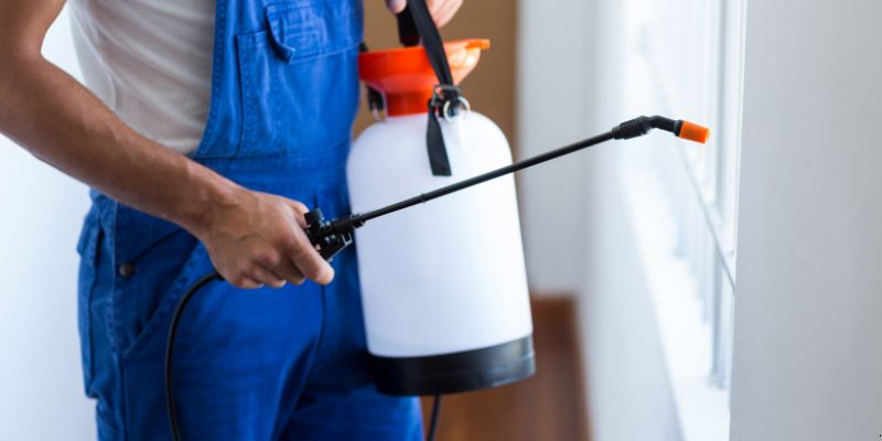 Como Fazer Dedetização em Casa em Maceió: 4 Dicas Simples Como fazer dedetização em casa em Maceió